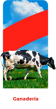 Sector de Ganadería